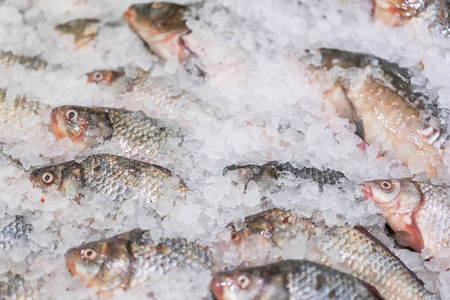 鱼市场上的冰海鲜照片