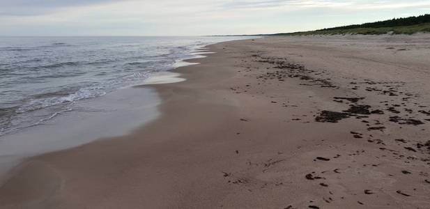 波罗的海海滩在早晨