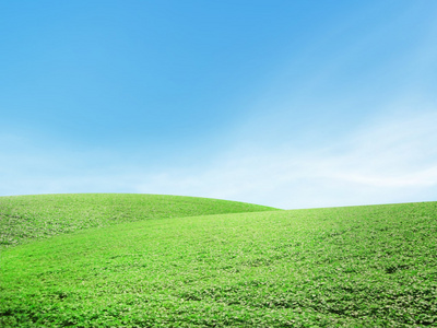 美丽的夏天风景