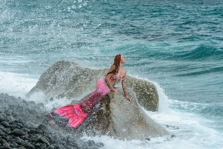 长尾鱼海岸边长尾美丽美人鱼照片