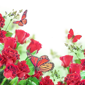 花卉背景和蝴蝶