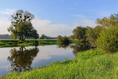 小河流的背景下, 覆盖着蓝天的草地。夏日清晨的河流景观
