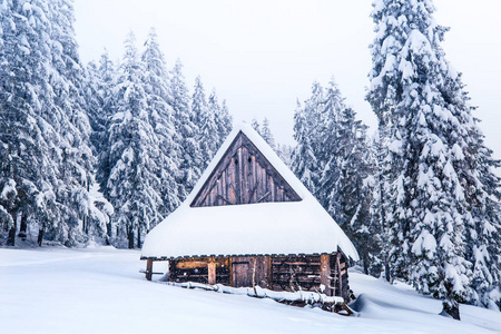 冬季景观。冬季自然。在波兰 Tatra 山脉的白色蓬松的雪覆盖着树木和旧房子。圣诞节背景