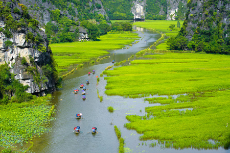 旅游观光船旅游观光看到稻田在河 非政府组织董 在 Tamcoc, 瑟纳姆, 越南