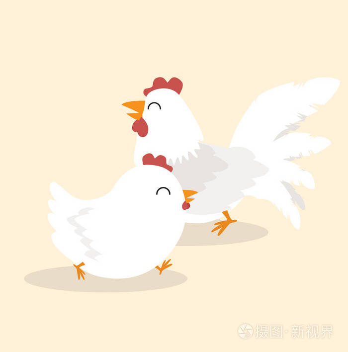 夫妇白鸡动物字符