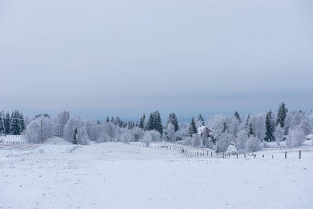 大雪覆盖了群山中的冰冻树木。圣诞节时间, 寒假概念