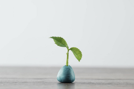 新事物开始的概念, 新的生活, 新的开始, 快速的成长照片