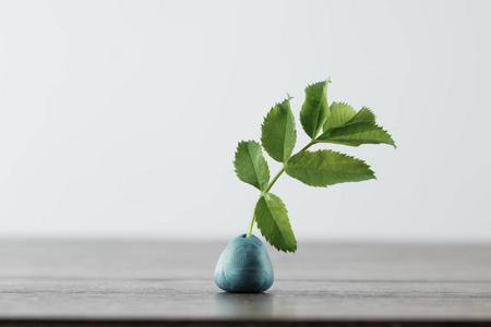 新事物开始的概念, 新的生活, 新的开始, 快速的成长照片