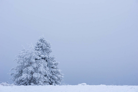 山上覆盖着雪和霜的冷杉树