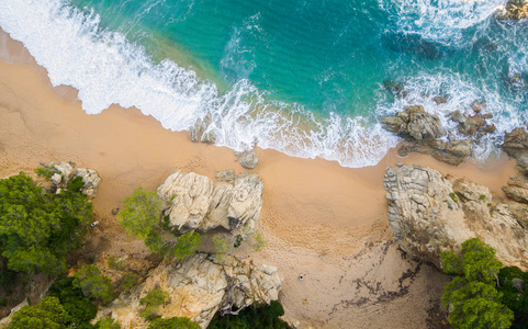 加泰罗尼亚布拉瓦海岸的鸟图。西班牙充满岩石和海浪的海滩