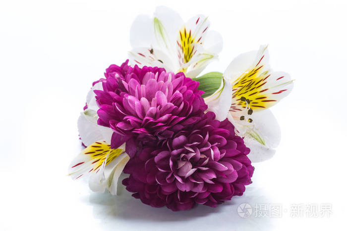 美丽的菊花和 lysianthus 在白色的花束