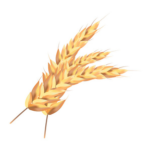 概念大麦图片-概念大麦素材-概念大麦插画-摄图新视界