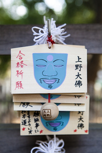 Ema 献上祝福好运的木制斑块 在神社在日本东京的上野公园 Uenokoen