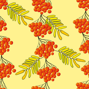 红色浆果和黄色树叶