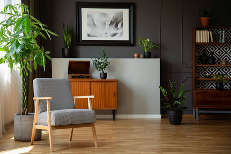 图案木扶手椅旁边的植物在灰色客厅内与海报。真实照片