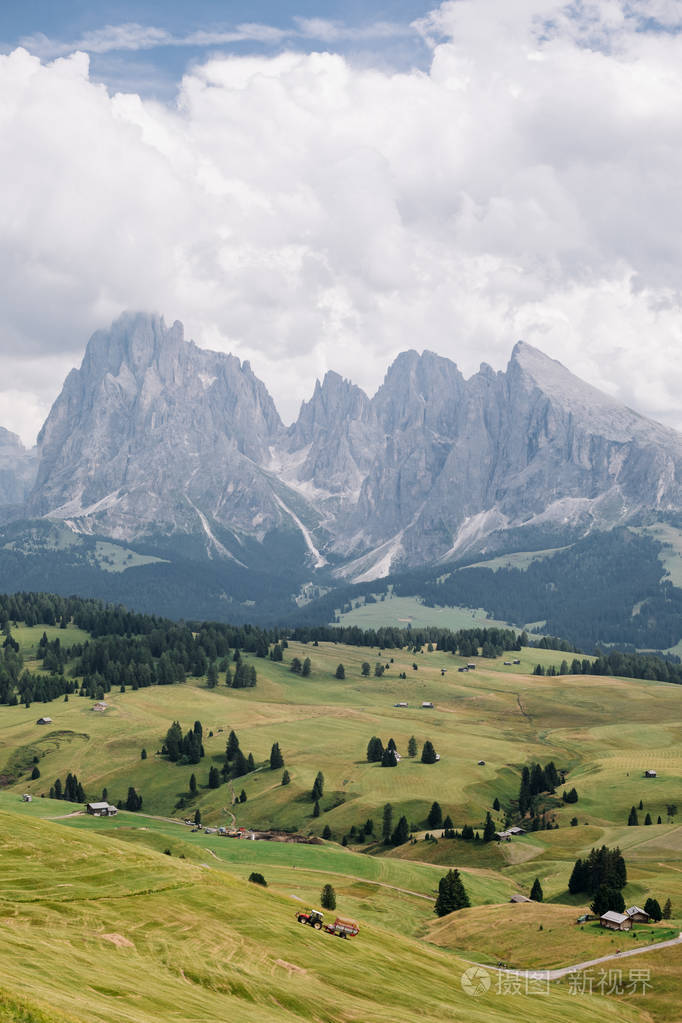 风景秀丽的绿色原野与雄伟的山在背景阿尔卑斯desuisi意大利