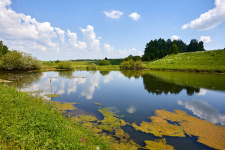 温暖美丽的夏季风景与湖泊和草地。绿意盎然蓝天背景的池塘