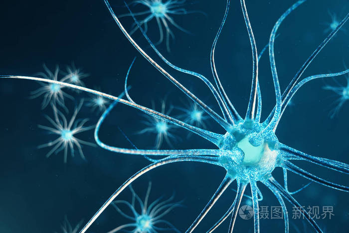 大脑中的神经元具有焦点效应.传递电子化学信号的突触和神经元细胞.