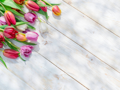 五颜六色的郁金香在白色木桌在春天阳光。春季背景
