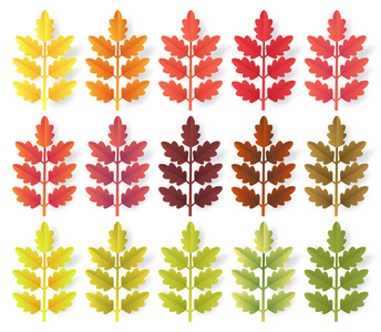 五颜六色的秋天叶子设置了在白色背景被隔绝。剪纸3d 平型, 矢量插画