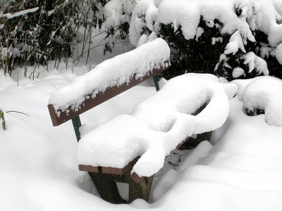 雪覆盖着的板凳