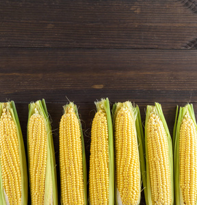 玉米棒上的玉米图片-玉米棒上的玉米素材-玉米棒上的玉米插画-摄图新