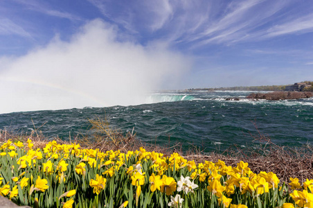 在尼亚加拉瀑布的看法和春天从加拿大一侧的鲜花