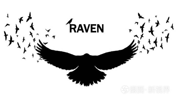 在白色背景上的乌鸦的剪影的矢量图像墙上贴纸概念插图