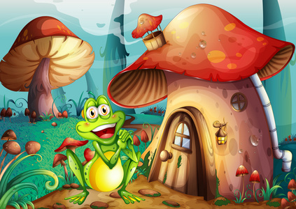 蘑菇房子附近的一只青蛙照片