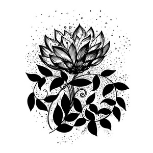 抽象的花卉图案.矢量黑白背景壁纸与手绘梦幻花照片