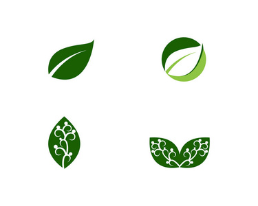 绿叶生态学自然元素矢量图标