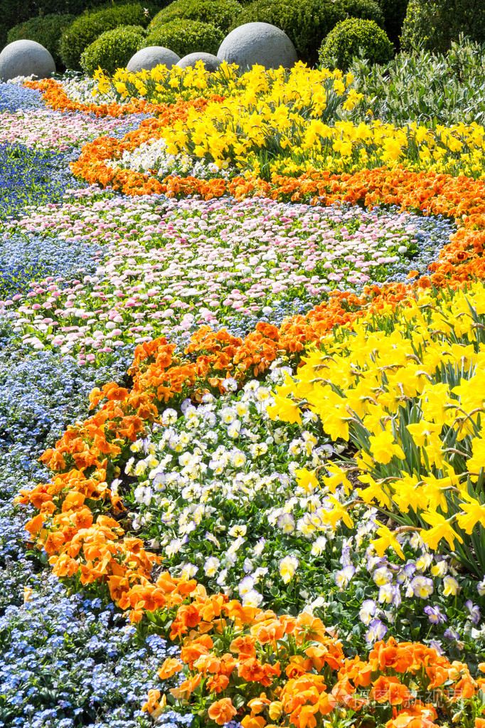 绚丽的春天的花朵