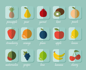 水果的图标。水果和浆果的象征的形象