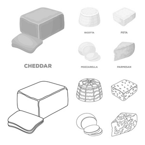 芝士, 芝士, 切达干酪, 清乳。不同类型的奶酪集合图标的轮廓, 单色风格矢量符号股票插画网站