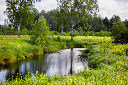 绿意盎然蓝天背景的池塘照片