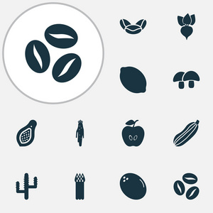 蔬菜图标集咖啡豆, 木瓜, 柑橘等防风元素。分离的例证植物图标