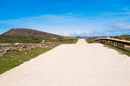 在撒丁岛，意大利的 Asinara 岛