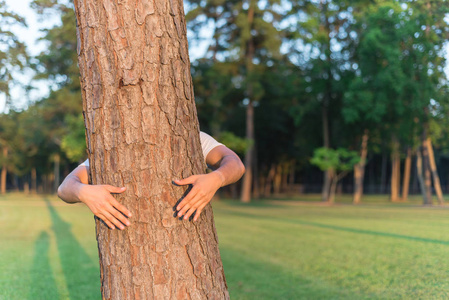 暖光, 软焦点公园/森林景观背景.人的手拥抱, 包装树.