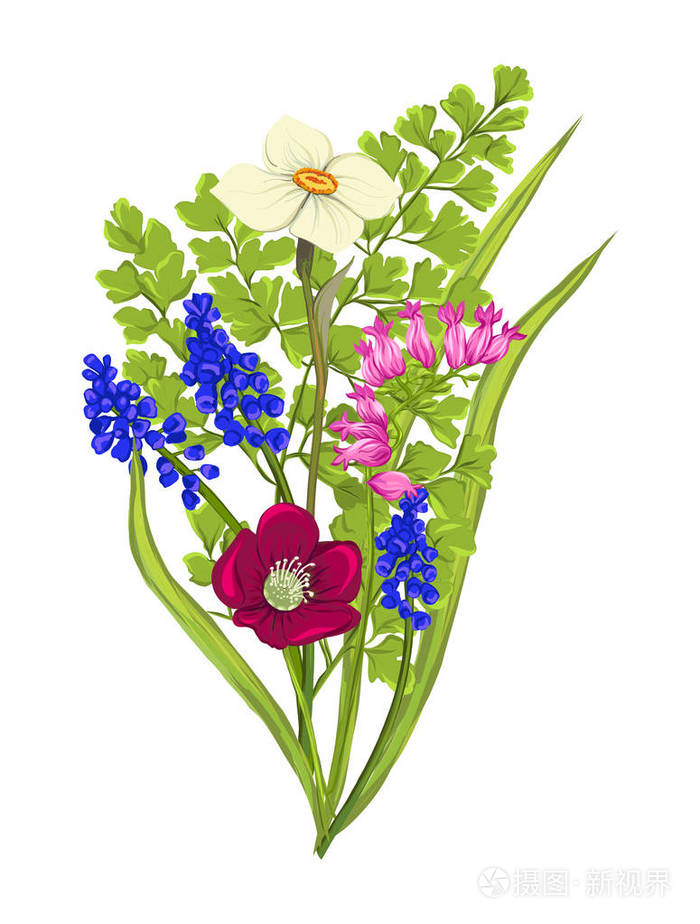 一束春天的花朵.色彩逼真的矢量插画