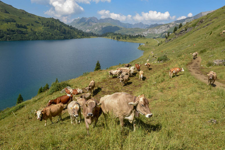 Engstlensee 湖在瑞士阿尔卑斯山的英格堡上空