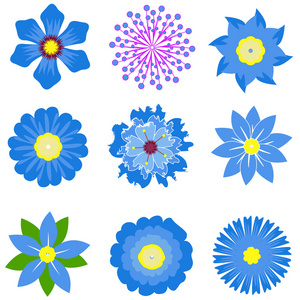 春天的花朵矢量插画照片