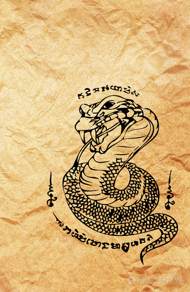 亚洲风格眼镜蛇