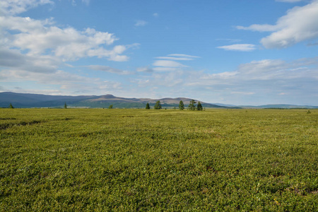 山麓苔原.俄罗斯极地乌拉尔自然公园照片