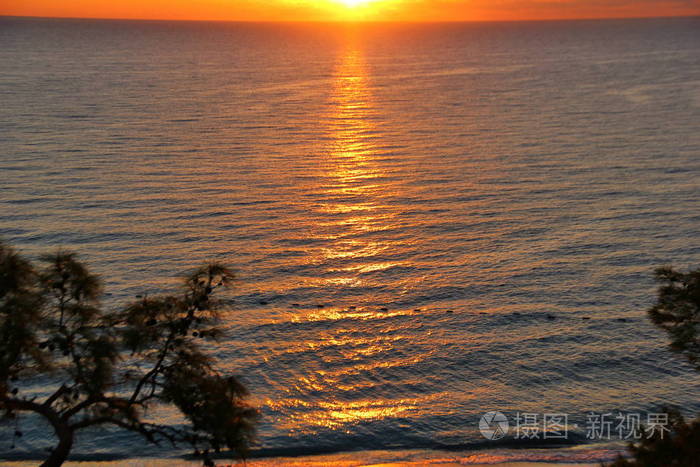 清晨的黎明, 蓝色的大海, 太阳从水中升起, 水面上的太阳路径, 沙滩上的浪花, 橙色的阴影, 背景上的松树
