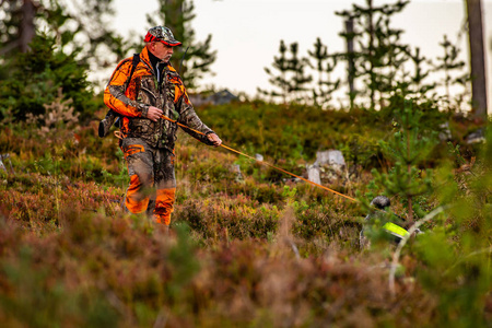 狗行动射击猎人和狩猎狗在荒野中追逐照片