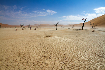 苏斯沙漠纳米比亚