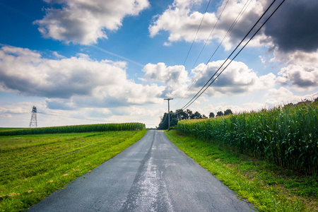 在马里兰州巴尔的摩县,农村的乡间小路上照片