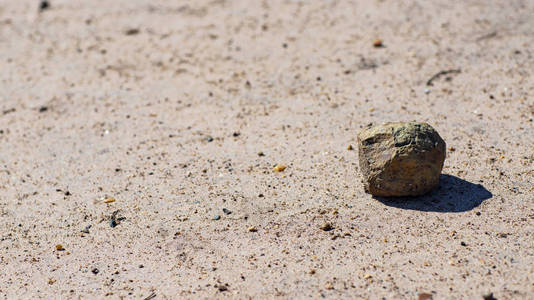 岩石在白色背景和纹理被隔绝的沙子