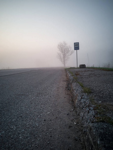 树剪影在清晨除了农村公路与厚雾覆盖背景