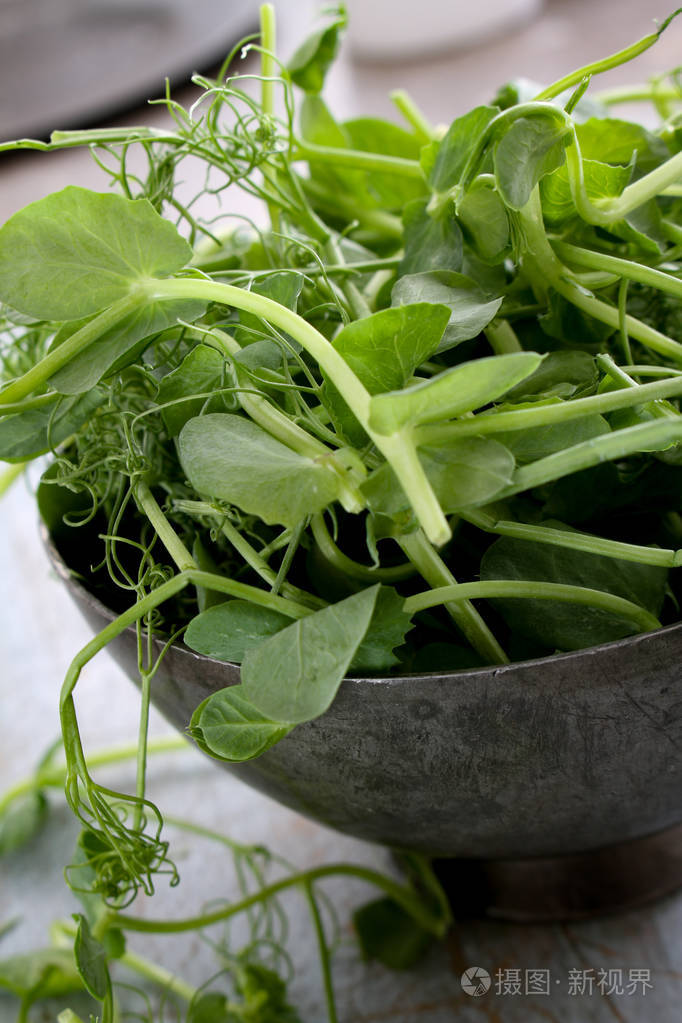 准备新鲜的豌豆芽